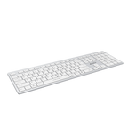A4TECH FBX50C Keyboard White color_white