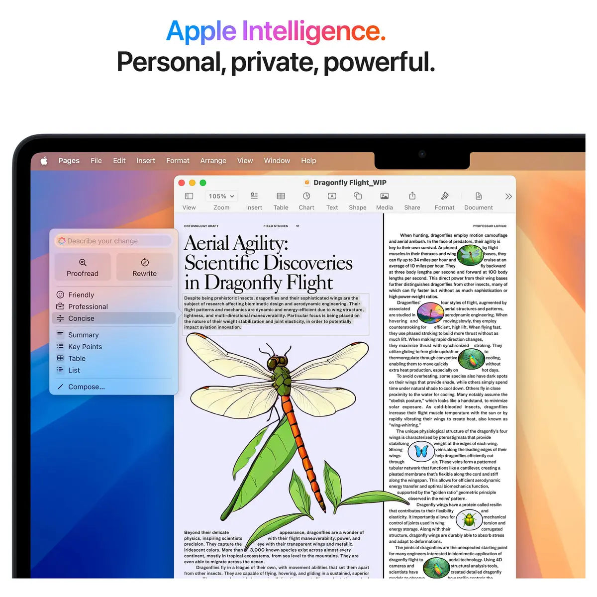 Apple MacBook Air M4, 16GB RAM 256GB SSD 13.6' Liquid Retina Display, MW123PA/A, Midnight (Official Warranty)