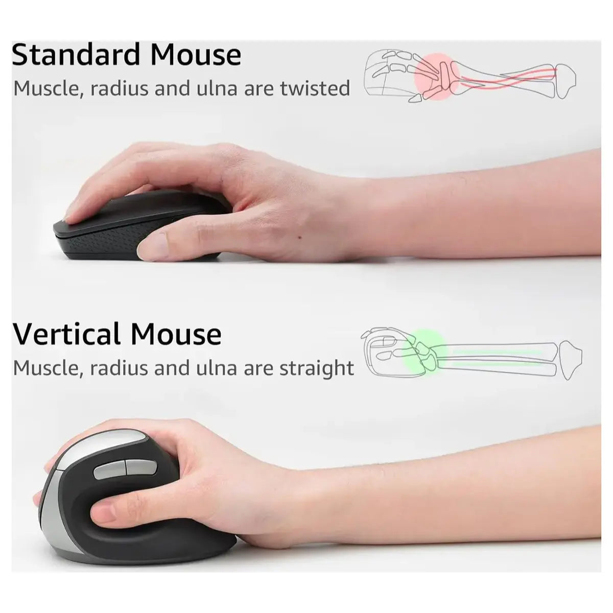 Rapoo EV250 Silent Wireless Ergonomic Mouse, 2.4GHz, Adjustable 1600 DPI, Up To 9 Months Battery Life