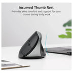 Rapoo EV250 Silent Wireless Ergonomic Mouse, 2.4GHz, Adjustable 1600 DPI, Up To 9 Months Battery Life