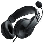Rapoo H150S USB Stereo Headset, USB Audio Interface, 40mm Sound Unit, 360 Degree Adjustable Unidirectional Noise Reduction Microphone, Black