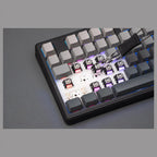 AULA F87 PRO V2 RGB Hot-Swappable Wireless Mechanical Keyboard, 87 Key TKL Gasket-Mounted, Bluetooth 5.0 2.4GHz and USB-C, 10000mAh Battery, 8K Polling Rate, White Contours
