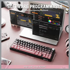 ATTACK SHARK X66 Wireless Mechanical Keyboard, Bluetooth and 2.4G Wireless and Type-C Wired, 60% ANSI Layout, Upgraded Gasket-Mount, Hot-Swap 3 and 5-Pin, Pre-Lubed Strawberry Switch, 3000mAh Battery, Blackberry Pink