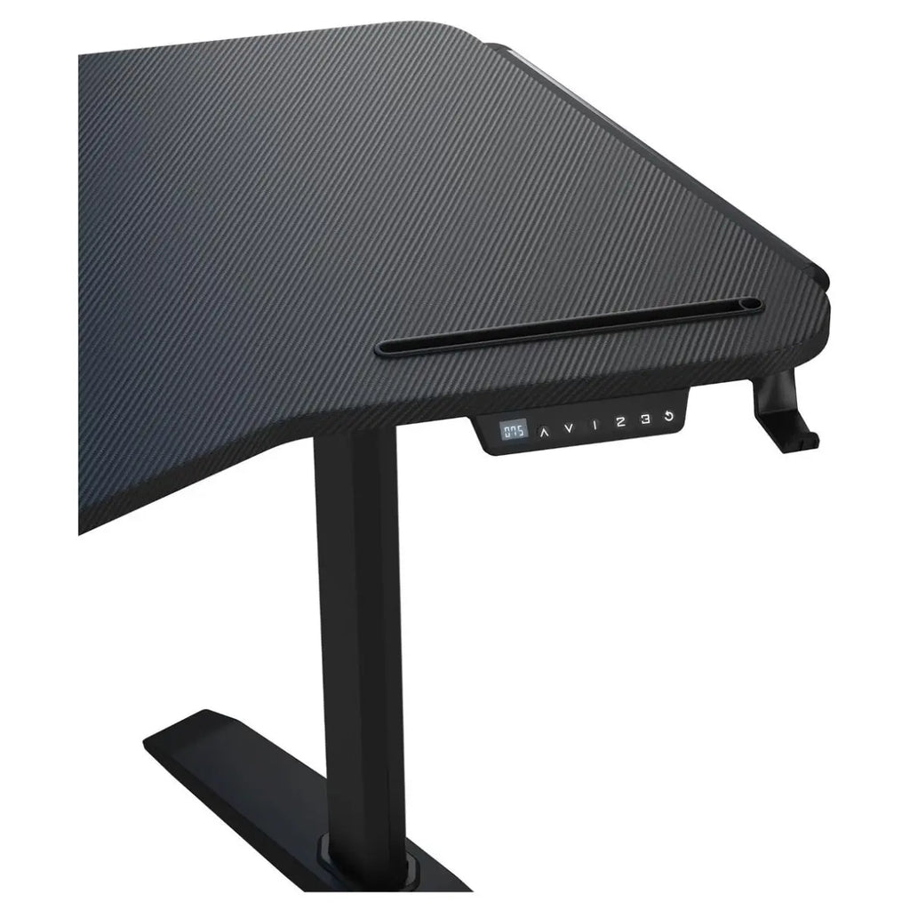 AndaSeat Shadow Warrior Electric Gaming Desk, Electric Height Adjustment 71-117cm, 160x60cm Carbon Fiber Texture Tabletop, Integrated RGB Lighting, Black, AD-D-DD1-1600L-02-B