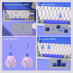 AULA WIN60 HE Max 61-Key RGB 60% Wired Magnetic Switch Gaming Keyboard, Hall Effect Magnetic Switch, 8000Hz Polling Rate, 0.3ms Latency Tested, Grey/White/Blue