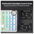 AULA F99 Pro Mechanical Keyboard With Knob, 96% 100 Keys 1800 Layout, Gasket-Mounted Flex-Cut Hot Swappable PCB, Bluetooth 5.0 Wireless and Wired 8000mAh Battery, South-Facing RGB Backlight, Silent Cotton Candy Switch, White