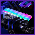 Apacer Panther DDR5 RGB 32GB (2x16GB) DDR5 5600 Desktop Memory Module, CL40, Intel XMP 3.0 and AMD EXPO Certified, Black and Gray, AH5U32G56C5229BAA-2